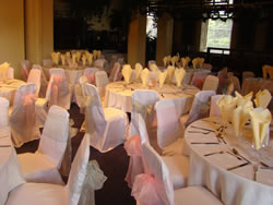 Chair Cover Pink Organza Sash